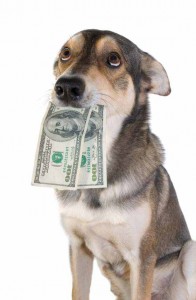 Dog with money